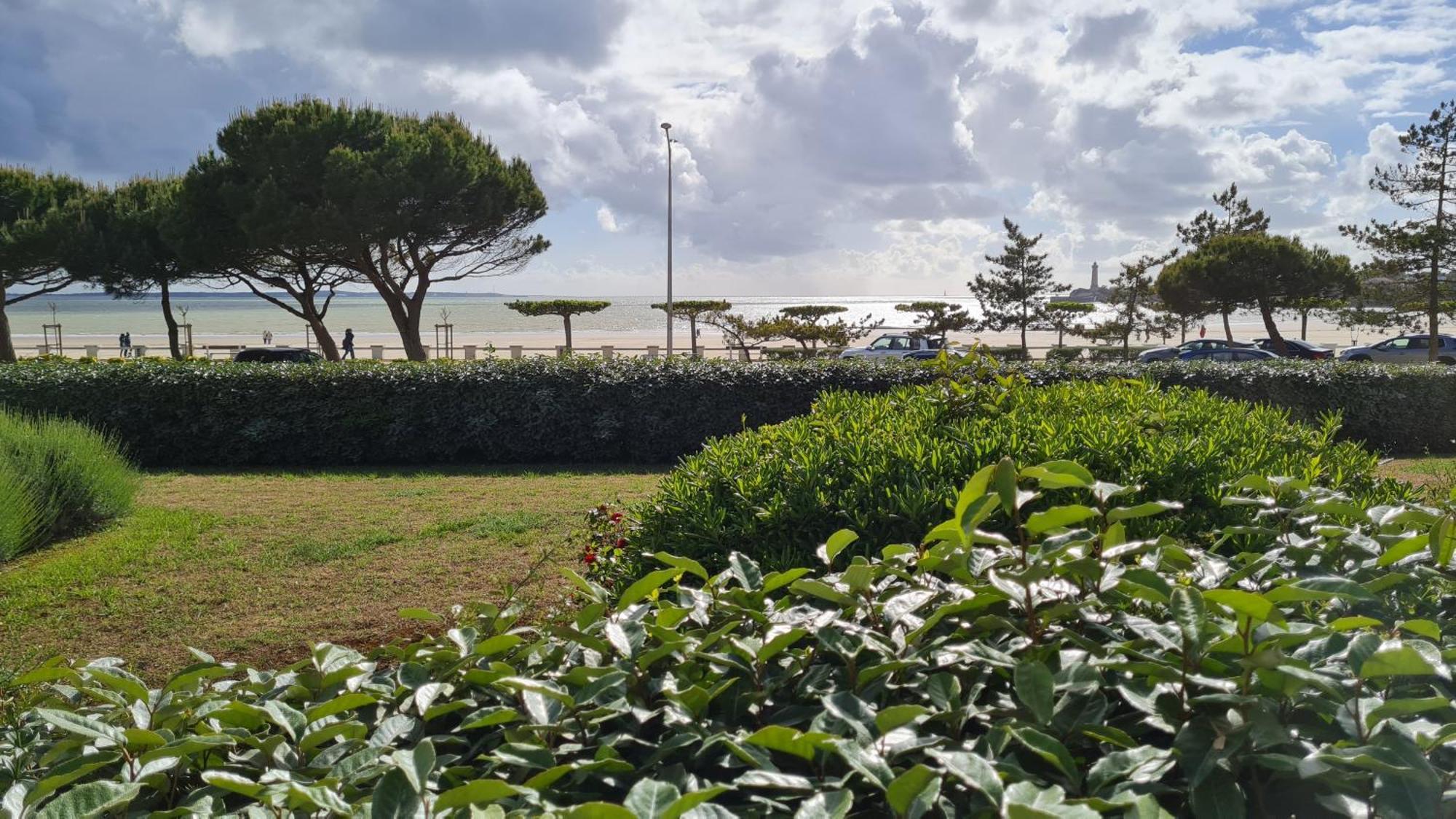 Saint Georges De Didonne - Vue Mer Pour Ce Studio Cosy En Rez-De-Chaussee Εξωτερικό φωτογραφία