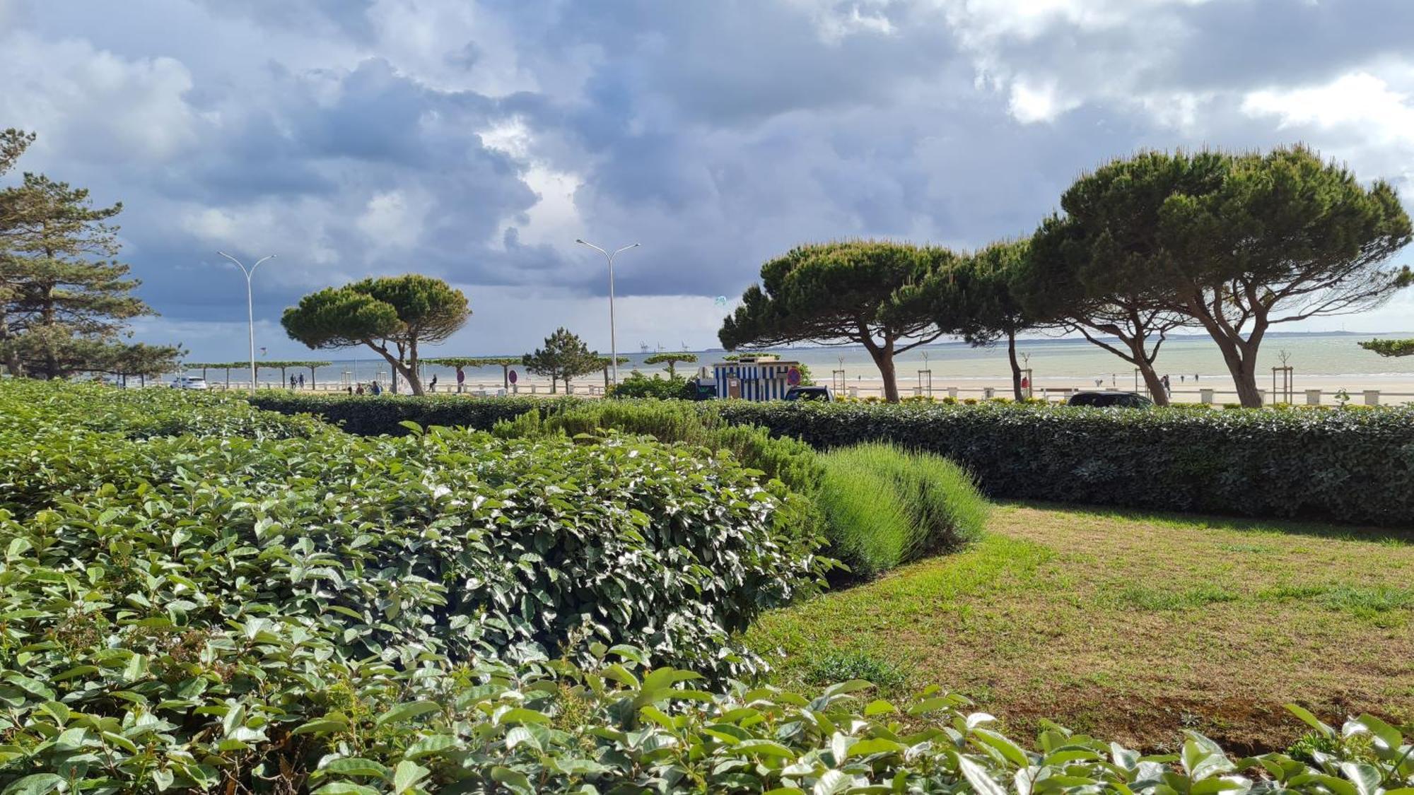 Saint Georges De Didonne - Vue Mer Pour Ce Studio Cosy En Rez-De-Chaussee Εξωτερικό φωτογραφία