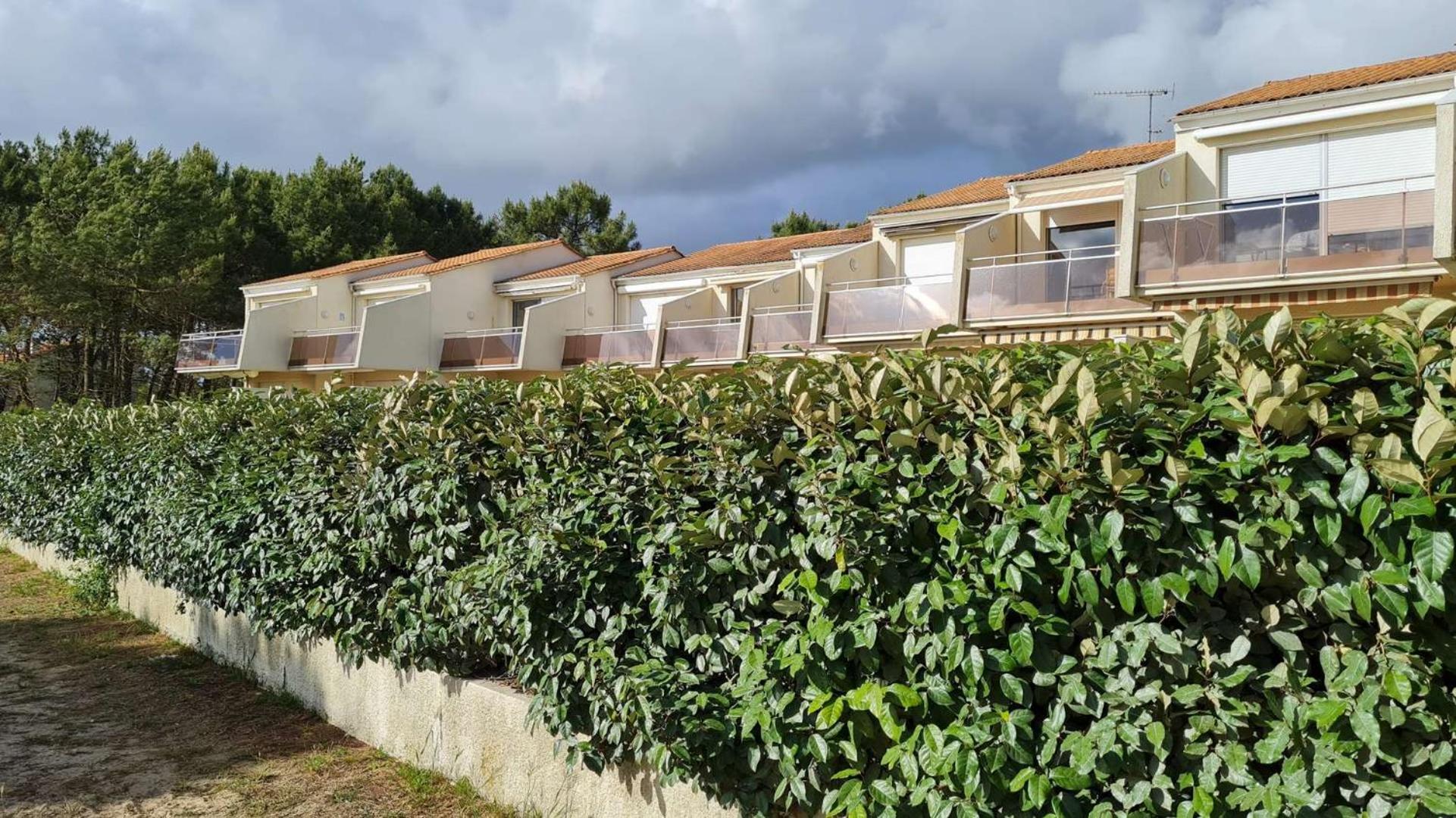 Saint Georges De Didonne - Vue Mer Pour Ce Studio Cosy En Rez-De-Chaussee Εξωτερικό φωτογραφία